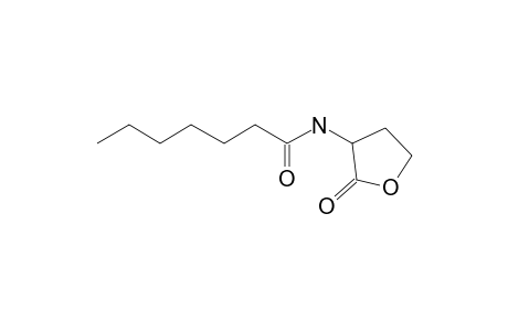 N-Heptanoyl-L-homoserine lactone