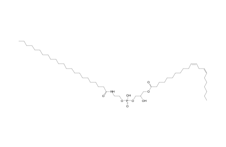 LNAPE 21:2/N-23:0