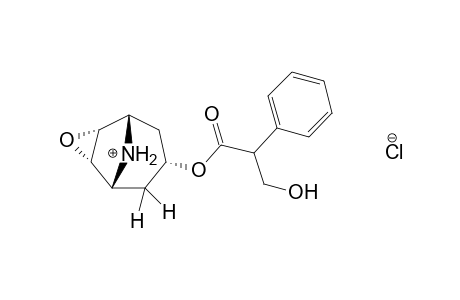 6beta,7beta-EPOXY-1alphaH,5alphaH-NORTROPAN-3alpha-OL, (-)-TROPATE (ESTER),HYDROCHLORIDE