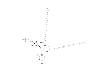 1,2-DIPALMITOYL-URIDINO-PHOSPHOCHOLINE