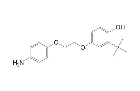 4-[2-(p-aminophenoxy)ethoxy]-2-tert-butylphenol