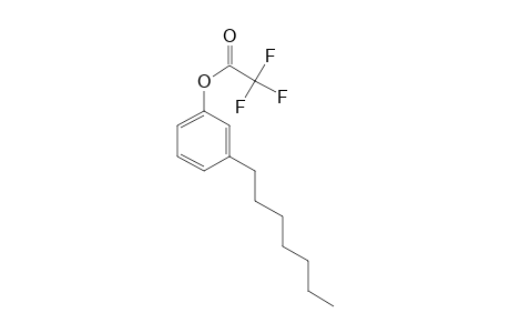 3-N-Heptylphenol, trifluoroacetate ester