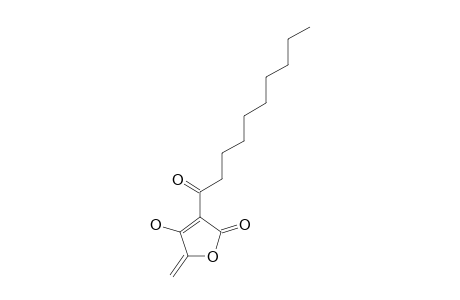 AGGLOMERIN-A