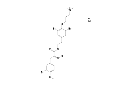 APLYSAMINE-2;3-[2',6'-DIBROMO-4'-(2''-[3'''-(3''''-BROMO-4''''-METHOXYPHENYL)-2'''-(HYDROXYIMINO)-1'''-OXOPROPYLAMINO]-ETHYL)-PHENOXY]-N,N-DIMETHYLPROPAN-1