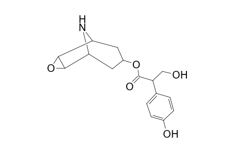 Scopolamine-M (HO-ring) MS2