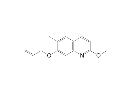 7-allyloxy-2-methoxy-4,6-dimethyl-quinoline