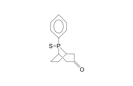 8-AX-PHENYL-8-THIOXO-8-PHOSPHABICYCLO-[3.2.1]-OCTAN-3-ON