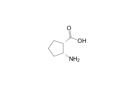 cis-2-aminocyclopentanecarboxylic acid