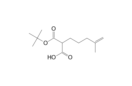 2-(4-Methylpent-4-enyl)malonic acid t-butyl ester