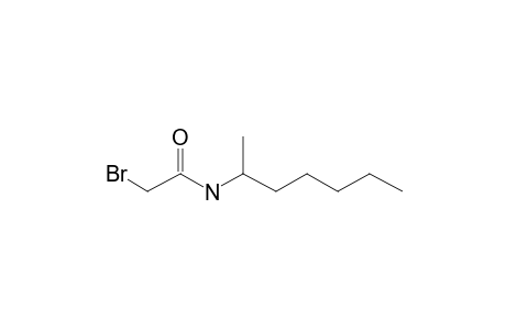 Bromacetamide, N-(hept-2-yl)-