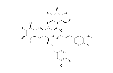 PREMNAFOLIOSIDE;3-HYDROXY-4-METHOXYPHENETHYLOXY-BETA-D-(3'-O-ALPHA-L-RHAMNOPYRANOSYL-4'-O-BETA-D-GLUCOPYRANOSYL-6'-O-FERULOYL)-GLUCOPYRANOSIDE