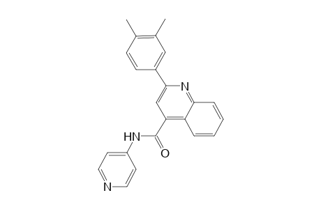 2-(3,4-dimethylphenyl)-N-(4-pyridinyl)-4-quinolinecarboxamide