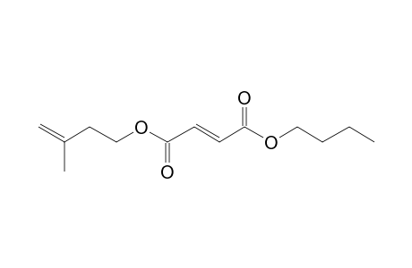 Fumaric acid, butyl 3-methylbut-3-enyl ester