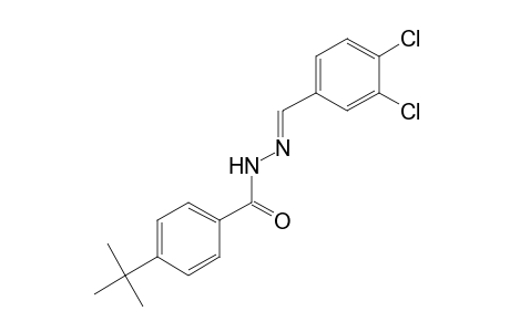p-tert-butylbenzoic acid, (3,4-dichlorobenzylidene)hydrazide