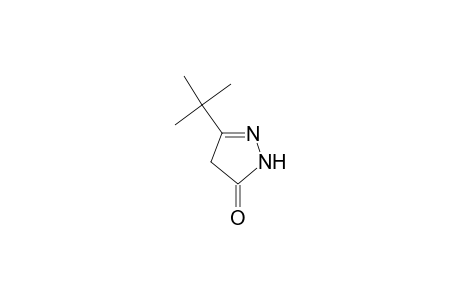 5-tert-Butyl-2,4-dihydro-3H-pyrazol-3-one