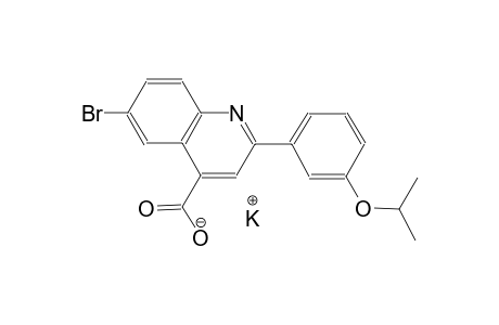 potassium 6-bromo-2-(3-isopropoxyphenyl)-4-quinolinecarboxylate