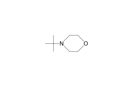 4-tert-butylmorpholine