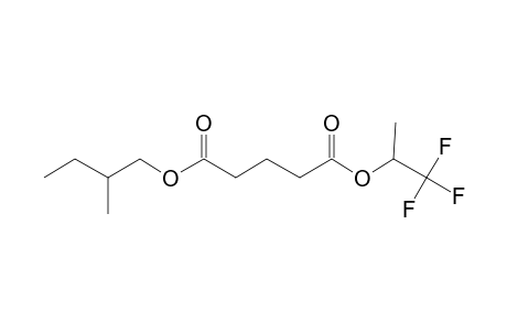 Glutaric acid, 1,1,1-trifluoroprop-2-yl 2-methylbutyl ester