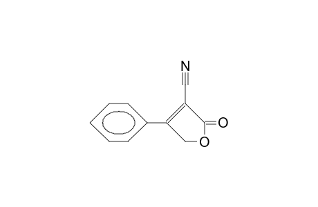 2,5-DIHYDRO-2-OXO-4-PHENYL-3-FURONITRILE