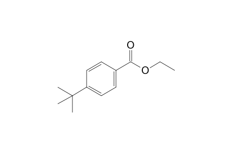 p-tert-butylbenzoic acid, ethyl ester