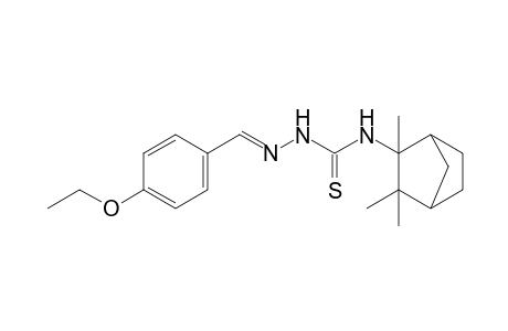 1-(p-ethoxybenzylidene)-3-thio-4-(2,3,3-trimethyl-2-norbornyl)semicarbazide