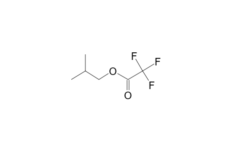 2-Methylpropyl trifluoroacetate