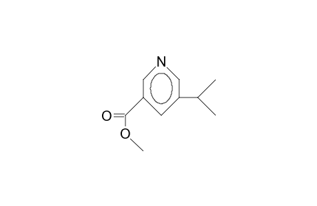 5-Isopropyl-nikotinsaeuremethylester