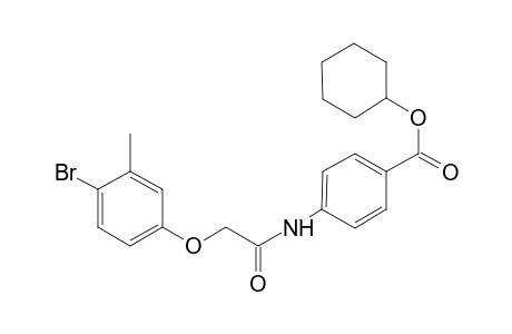 Benzoic acid, 4-[[(4-bromo-3-methylphenoxy)acetyl]amino]-, cyclohexyl ester