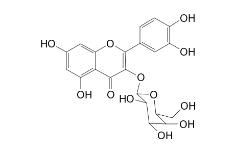 QUERCETIN-3-O-GALACTOPYRANOSIDE