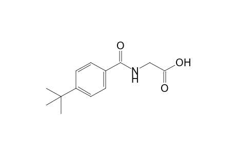 p-tert-BUTYLHIPPURIC ACID