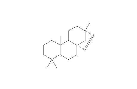 Isohibaene