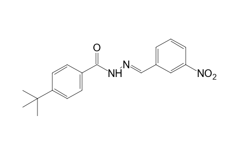 p-tert-butylbenzoic acid, (m-nitrobenzylidene)hydrazide