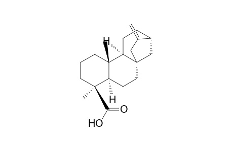 Kaur-16-en-19-oic acid