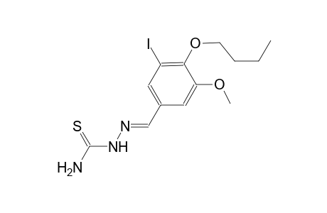 4-butoxy-3-iodo-5-methoxybenzaldehyde thiosemicarbazone