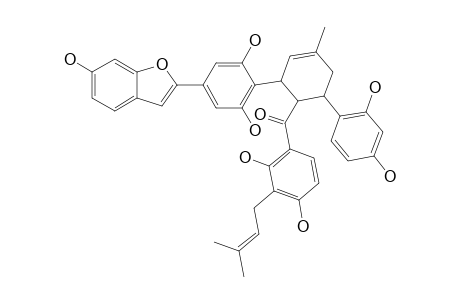 MONGOLICIN_F