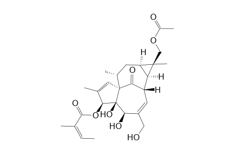 17-ACETYLOXY-3-O-ANGELOYL-INGENOL