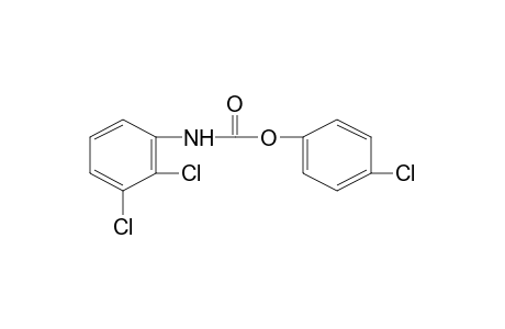 2,3-dichlorocarbanilic acid, p-chlorophenyl ester