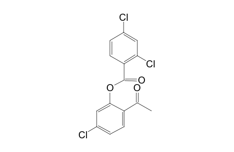 4'-CHLORO-2'-(2,4-DICHLOROBENZOYLOXY)-ACETOPHENONE