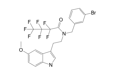 5MT-NB3B HFB