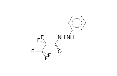 N-PERFLUOROPROPANOYL-N'-PHENYLHYDRAZINE