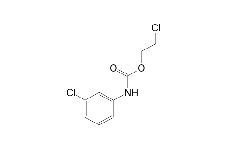 m-chlorocarbanilic acid, 2-chloroethyl ester