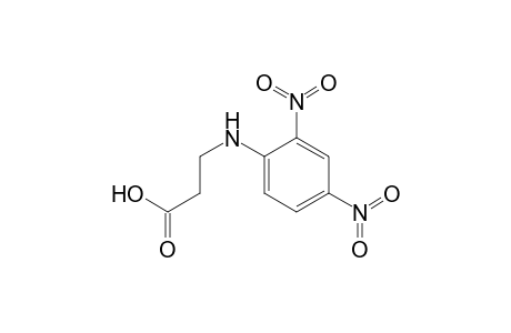 3-(2,4-Dinitroanilino)propanoic acid