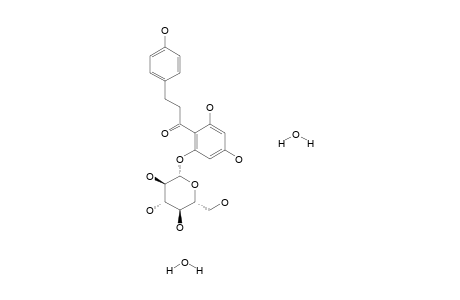 Phlorizin dihydrate (from Apple Wood)