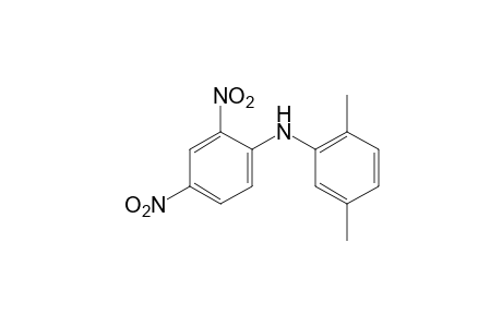 2,5-dimethyl-2',4'-dinitrodiphenylamine