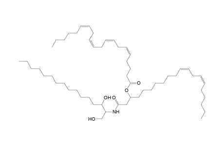 Cer 16:0;2O/20:2;(3OH)(FA 20:4)