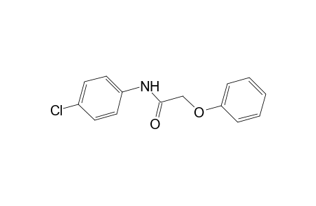 N-(4-chlorophenyl)-2-phenoxy-acetamide