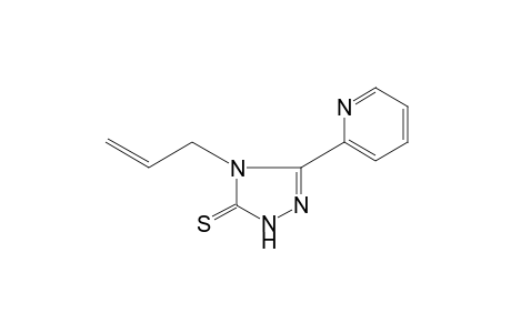 4-allyl-3-(2-pyridyl)-delta square-1,2,4-triazoline-5-thione