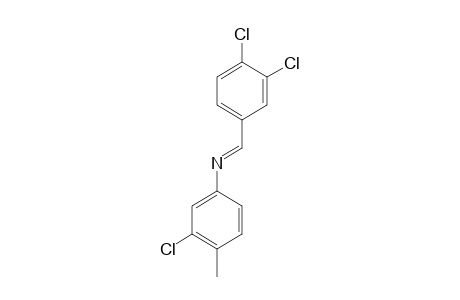 3-chloro-N-(3,4-dichlorobenzylidene)-p-toluidine