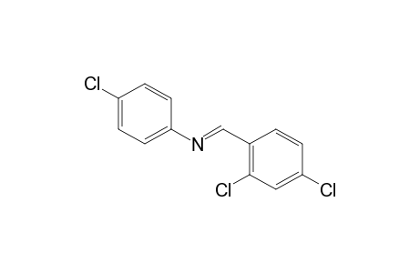 p-chloro-N-(2,4-dichlorobenzylidene)aniline