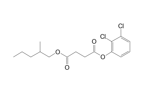 Succinic acid, 2,3-dichlorophenyl 2-methylpentyl ester